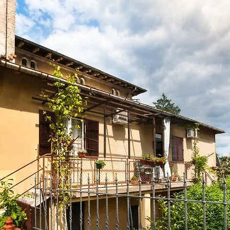 Apartment Branka *